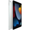 Tablet APPLE iPad 10.2" 9 gen. 64GB LTE Wi-Fi Srebrny Funkcje ekranu Jasność 500 nitów