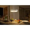 Lampa wisząca PHILIPS HUE White Ambiance Fair 929003054401 Rodzaj produktu Lampa wisząca