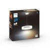 Lampa wisząca PHILIPS HUE White Ambiance Fair 929003054401 Stopień ochrony [IP] IP20