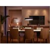Lampa wisząca PHILIPS HUE White Ambiance Enrave 915005998101 Rodzaj produktu Lampa wisząca