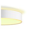 Lampa sufitowa PHILIPS HUE Devere M 212673 Biały Ilość źródeł światła 1