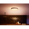 Lampa sufitowa PHILIPS HUE Devere M 212673 Biały Funkcje dodatkowe Regulacja jasności
