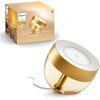Lampa biurkowa PHILIPS HUE Iris 929002376402 Ilość źródeł światła 1