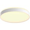 Lampa sufitowa PHILIPS HUE Enrave 915005997001 Typ źródła światła LED