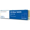 Dysk WD Blue SN570 250GB SSD Typ dysku Wewnętrzny