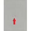 Kosz na śmieci BRABANTIA 130601 Bo Touch Bin Hi 2x30L Biały Materiał Stal szlachetna