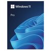 Program MICROSOFT Windows 11 Pro OEM DVD Wersja językowa Polska