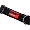 Obroża ZOLUX MOOV XL (51 - 67 cm) Czarny Gwarancja 24 miesiące