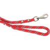 Smycz ZOLUX Nylonowy sznur (200 x 1.3 cm) Czerwony Materiał Nylon