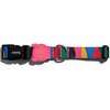 Obroża ZEE DOG Chroma M (37 - 53 cm) Wielokolorowy