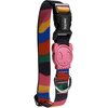 Obroża ZEE DOG Chroma M (37 - 53 cm) Wielokolorowy Przeznaczenie Dla psa
