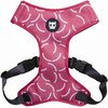 Szelki dla psa ZEE DOG Air Mesh Adjustable Nara L Cechy Klamra z 4 punktowym systemem blokowania