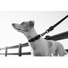 Obroża ZEE DOG Gotham XS (23 - 33 cm) Czarny Gwarancja 24 miesiące