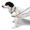 Szelki dla psa ZEE DOG Aziza Soft-Walk L Niebiesko-żółty Cechy Komfortowe w noszeniu