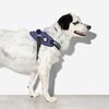 Szelki dla psa ZEE DOG Wicked Fly Harness XS Fioletowy Cechy Elementy odblaskowe
