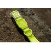 Smycz ZEE DOG Neopro L (120 x 2.5 cm) Limonkowy Przeznaczenie Dla psa