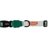 Obroża ZEE DOG Hawkins Stranger Things L (45 - 70 cm)