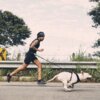 Na zdjęciu widać osobę biegnącą z psem po drodze, obok metalowej barierki i zieleni. Osoba ma na sobie czarną odzież sportową i trzyma smycz przymocowaną do pasa.
