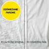 Pralka AEG L7FNC48SP ProSteam 7000 8kg 1400obr ProSense SoftPlus Rodzaj pralki Pralka wolnostojąca
