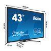 Monitor IIYAMA ProLite X4373UHSU-B1 42.5" 3840x2160px 3 ms [GTG] Przeznaczenie Do domu i biura