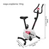 Rower magnetyczny EB FIT B-60 Rodzaj roweru Pionowy