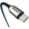 Kabel USB-C - USB-C BASEUS CATSK-C06 z wyświetlaczem LCD 100W 2 m Zielony Rodzaj Kabel