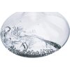 Perełki czyszczące WMF Basic 0617796030 150 g Do myjek Nie