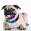 Obroża SMART COLLAR MT7112 M (41 - 50 cm) Wielokolorowy Kolor Wielokolorowy