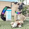 Obroża SMART COLLAR MT7112 M (41 - 50 cm) Wielokolorowy Rozmiar M