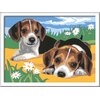 Malowanie po numerach RAVENSBURGER CreArt Szczeniaczki Jack Russell 28939 Rodzaj Malowanie po numerach
