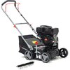 Wertykulator spalinowy HORTMASZ HWS 420