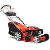 Kosiarka spalinowa HORTMASZ HKS 753 NLE Loncin LC1P70FC z napędem 530mm 3.5kW
