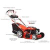 Kosiarka spalinowa HORTMASZ HKS 753 NLE Loncin LC1P70FC z napędem 530mm 3.5kW Typ silnika Czterosuwowy