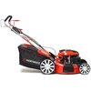 Kosiarka spalinowa HORTMASZ HKS 753 NLE Loncin LC1P70FC z napędem 530mm 3.5kW Regulacja wysokości koszenia Centralna (8-stopniowa)