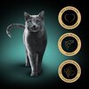 Karma dla kota SHEBA Classics Łosoś 85 g Opakowanie Tacka