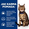 Karma dla kota HILLS Prescription Diet T/D Kurczak 1.5 kg Opakowanie Torebka strunowa