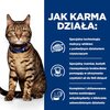 Karma dla kota HILLS Prescription Diet T/D Kurczak 1.5 kg Waga 1.5 kg