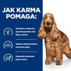 Karma dla psa HILL'S Prescription Diet Canine Z/D 3 kg Opakowanie Torebka strunowa