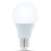 Żarówka LED FOREVER LIGHT RTV003431 6W E27 Rodzaj Żarówka LED