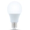 Żarówka LED FOREVER LIGHT RTV003432 6W E27 Rodzaj Żarówka LED