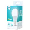 Żarówka LED FOREVER LIGHT RTV003432 6W E27