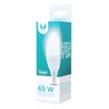 Żarówka LED FOREVER LIGHT RTV003444 10W E14