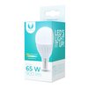Żarówka LED FOREVER LIGHT RTV003449 10W E14