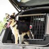 Transporter FERPLAST Atlas Car 100 Scenic Czarny Głębokość [cm] 100