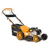 Kosiarka spalinowa NAC LS46-450E-HSDS-JR Briggs&Stratton 450E z napędem