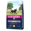 Karma dla psa EUKANUBA Junior Large Breeds Kurczak 15 kg