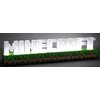 Lampa gamingowa PALADONE Logo Minecraft Liczba źródeł światła 1