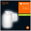 Kinkiet zewnętrzny LEDVANCE Endura Classic Lantern Cylinder WT Biały Ilość źródeł światła 1