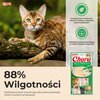 Przysmak dla kota INABA Ciao Churu Tuńczyk z kurczakiem (4 x 14 g) Przeznaczenie Dla kota