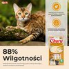 Przysmak dla kota INABA Ciao Churu Kurczak (4 x 14 g) Przeznaczenie Dla kota
